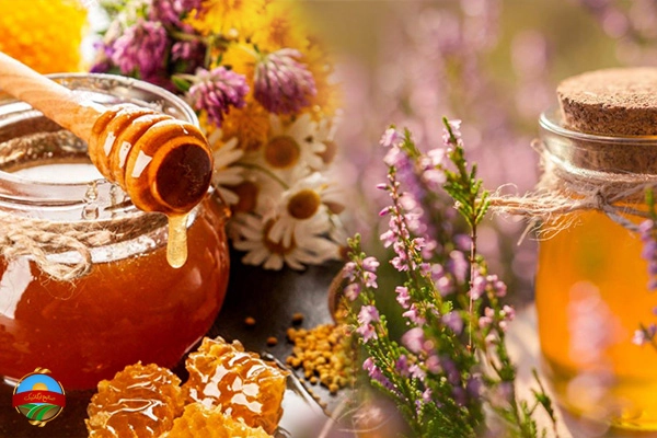 عسل چند گیاه یا عسل آویشن کدام برای سرماخوردگی بهتر است؟